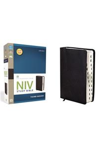 Study Bible-NIV-Large Print