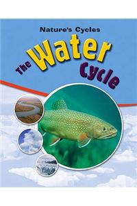 The Water Cycle