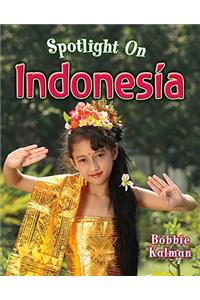 Spotlight on Indonesia