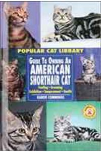Guide to Owning an American Shorthair Cat