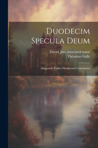 Duodecim specula deum: Aliquando videre desideranti concinnata