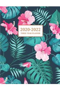 2020-2022 Three Year Planner
