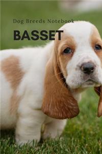 Basset