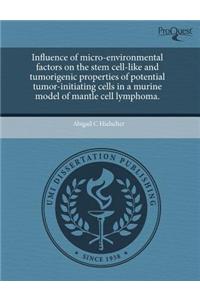 Influence of Micro-Environmental Factors on the Stem Cell-Like and Tumorigenic Properties of Potential Tumor-Initiating Cells in a Murine Model of Man