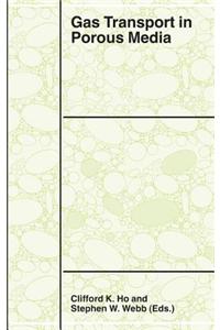 Gas Transport in Porous Media
