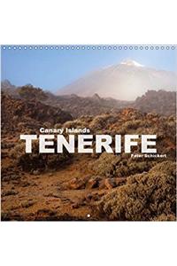 Canary Islands Tenerife 2017