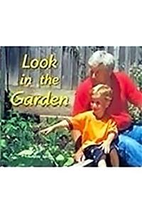 Rigby Flying Colors: Individual Student Edition Red Look in the Garden