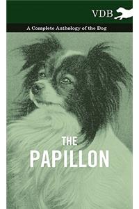 The Papillon - A Complete Anthology of the Dog
