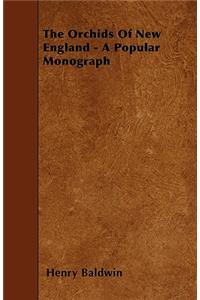 The Orchids Of New England - A Popular Monograph