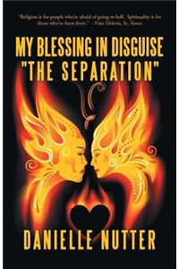 My Blessing in Disguise 
