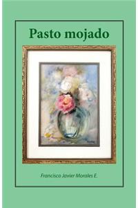 Pasto mojado