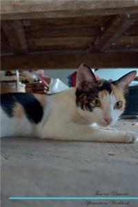 Thai Cat Affirmations Workbook Thai Cat Presents: Positive and Loving Affirmations Workbook. Includes: Mentoring Questions, Guidance, Supporting You.