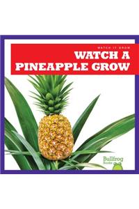 Watch a Pineapple Grow