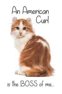A Ginger Tabby American Curl Cat is the Boss of me...
