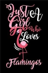 Just A Girl Who Loves Flamingos Pink Color Gift Journal