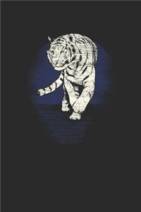 Tiger Drawing