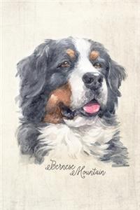 Bernese Mountain Dog Portrait Notebook