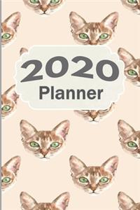 2020 Planner