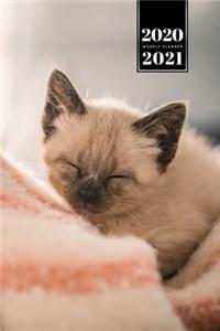 Siamese Cat Kitten Kitty Tomcat Week Planner Organizer 2020 / 2021 - Sleeping Baby