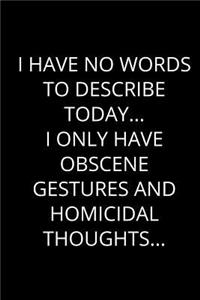 I Have No Words To Describe Today... I Only Have Obscene Gestures And Homicidal Thoughts...