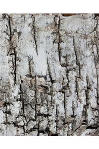 Tree Bark Dry Cracked School Composition Book 130 Pages