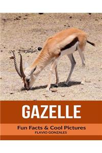 Gazelle: Fun Facts & Cool Pictures