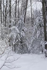 2019 Daily Planner Winter Snowy Woods Photo 384 Pages