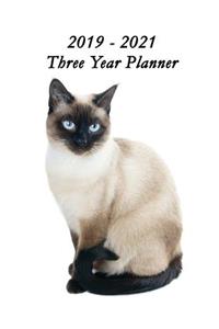 2019 - 2021 Three Year Planner