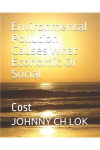 Environmental Pollution Causes What Economic Or Social