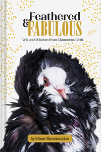 Feathered & Fabulous