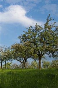 Meadows Notebook