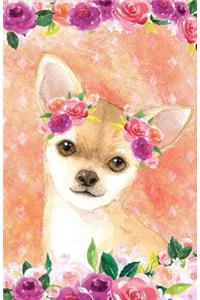 Journal Notebook For Dog Lovers Fawn Chihuahua In Flowers