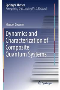 Dynamics and Characterization of Composite Quantum Systems