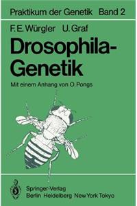 Drosophila-Genetik