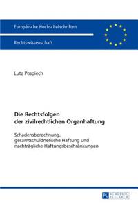 Die Rechtsfolgen der zivilrechtlichen Organhaftung