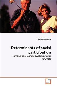 Determinants of social participation