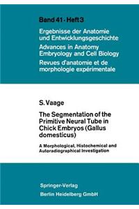 The Segmentation of the Primitive Neural Tube in Chick Embryos (Gallus Domesticus)