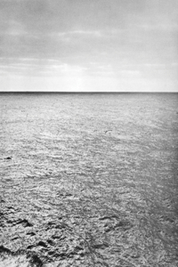 Bill Bollinger: Water Is Life and Like Art It Finds Its Own Level