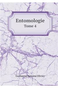 Entomologie Tome 4