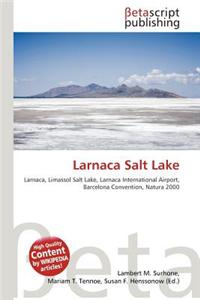 Larnaca Salt Lake