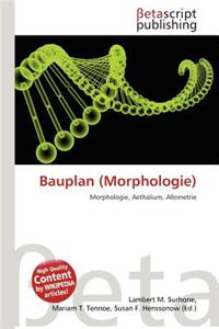 Bauplan (Morphologie)