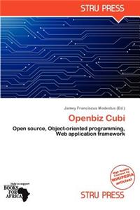 Openbiz Cubi