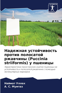 Надежная устойчивость против полосатой