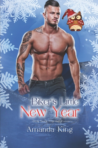 Biker's Little New Year: DDlg Stuck Together Romance