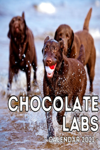 Chocolate Labs Calendar 2021