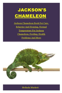 Jackson's Chameleon