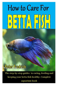 How to Care for Betta Fish