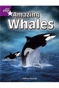 Rigby Star Independent Year 2 Purple Non Fiction: Amazing Whales Single