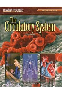 Human Body: The Circulatory System