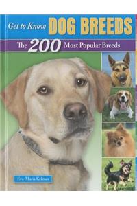 Get to Know Dog Breeds